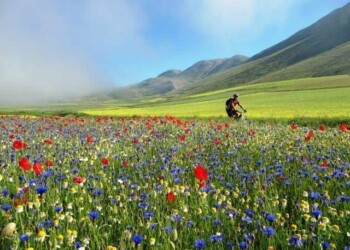 bike umbria