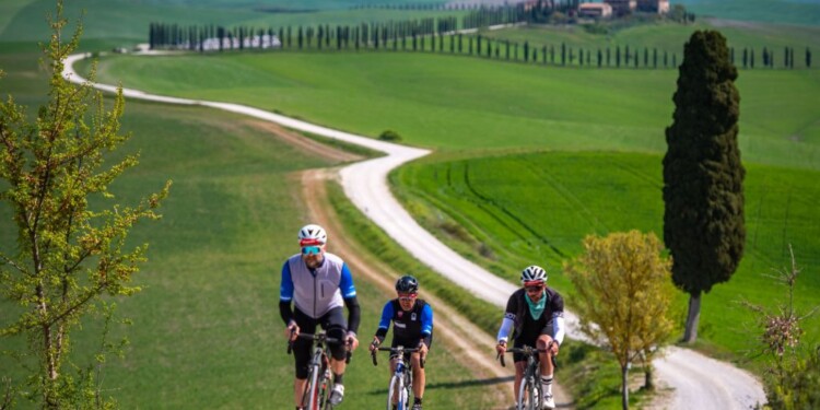 Le strade bianche