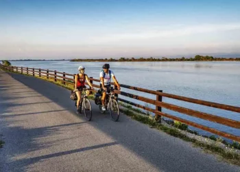 adria bike