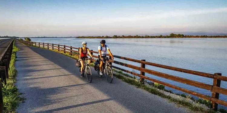 adria bike