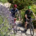 Biciclette e vino binomio perfetto - vie del vino - con Brumotti tra la lavanda