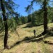 Ciclovia della Valle di Champorcher - in mtb sul sentiero tra i pini