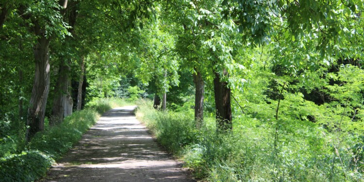 ciclovia del Tevere