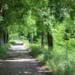 ciclovia del Tevere