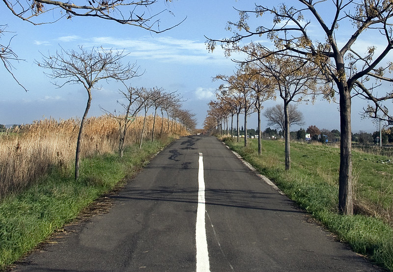 ciclabile Grosseto - Marina di Grosseto