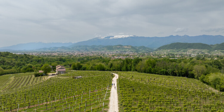 Nova Eroica Conegliano Valdobbiadene Prosecco Hills