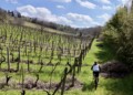 scoprire il Chianti - You'r Welcome®