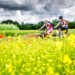 anima verde della Cechia - Foto Petr Slavík