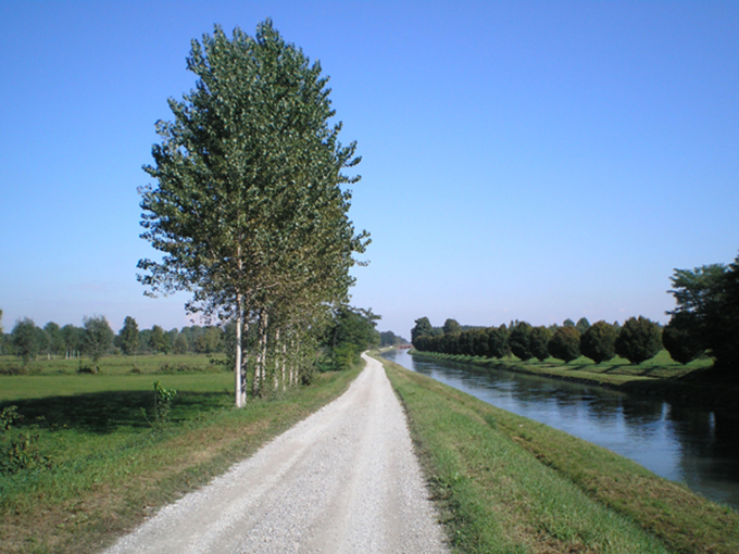 navigli cremonesi