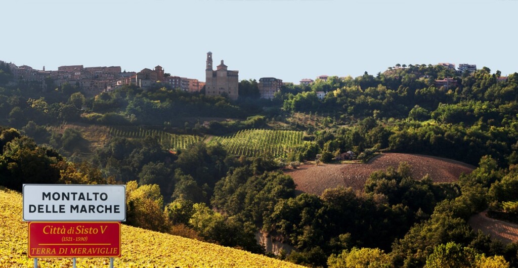 valdaso montalto