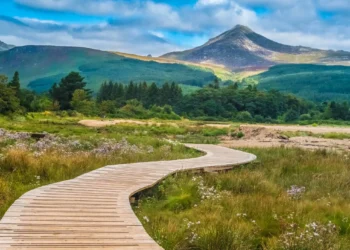Isola di Arran