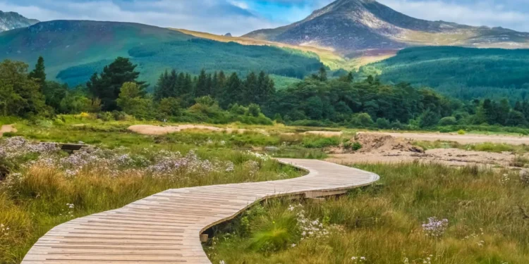 Isola di Arran
