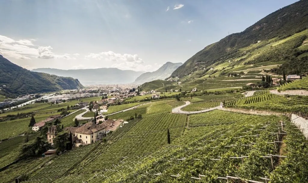 Wine&Bike Alto Adige Collection