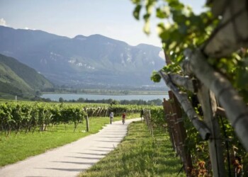 Wine&Bike Alto Adige Collection