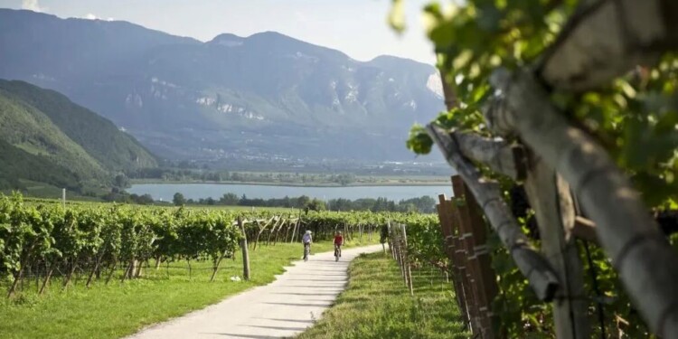 Wine&Bike Alto Adige Collection
