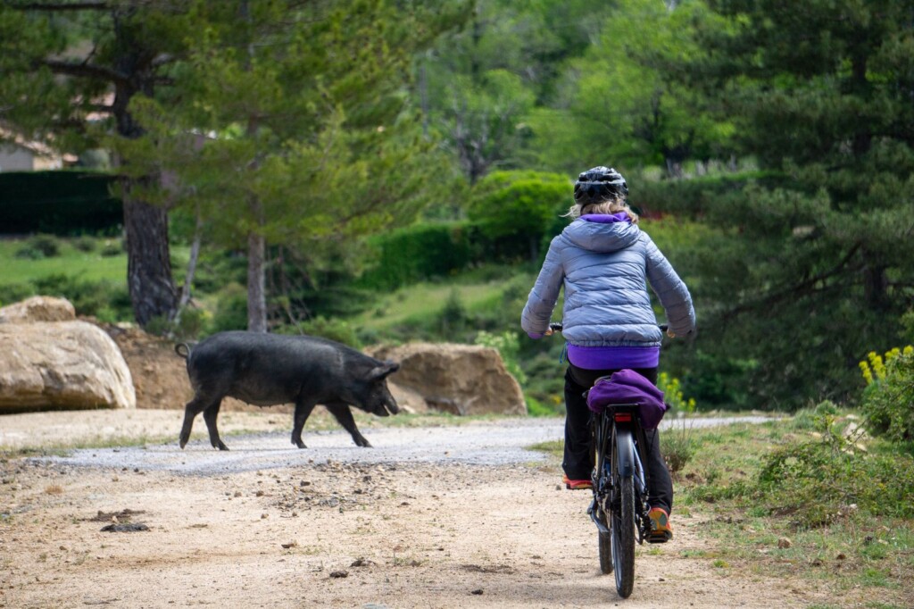 Corsica Cyclo GT 20 quarta tappa 