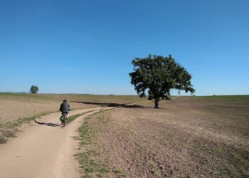Gran Tour del Lazio - Francigena Veio