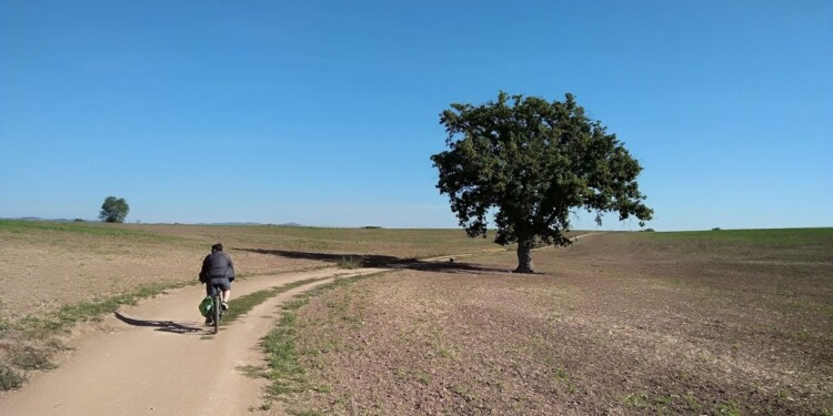 Gran Tour del Lazio - Francigena Veio