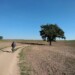 Gran Tour del Lazio - Francigena Veio