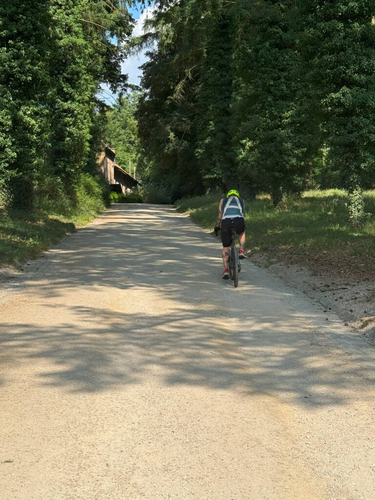 Bois de la Cambre