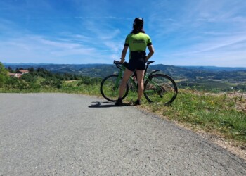 langaride