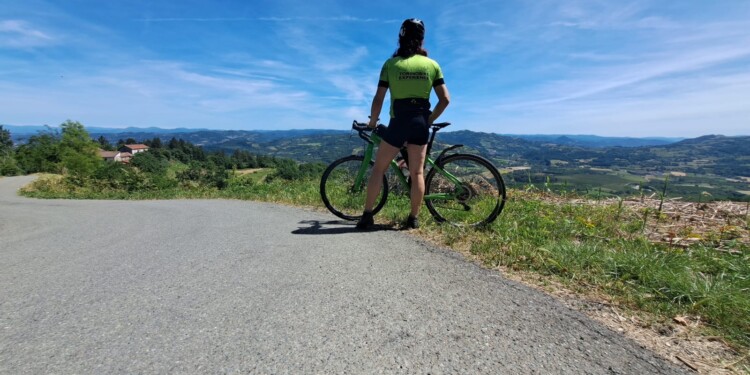 langaride