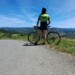 langaride