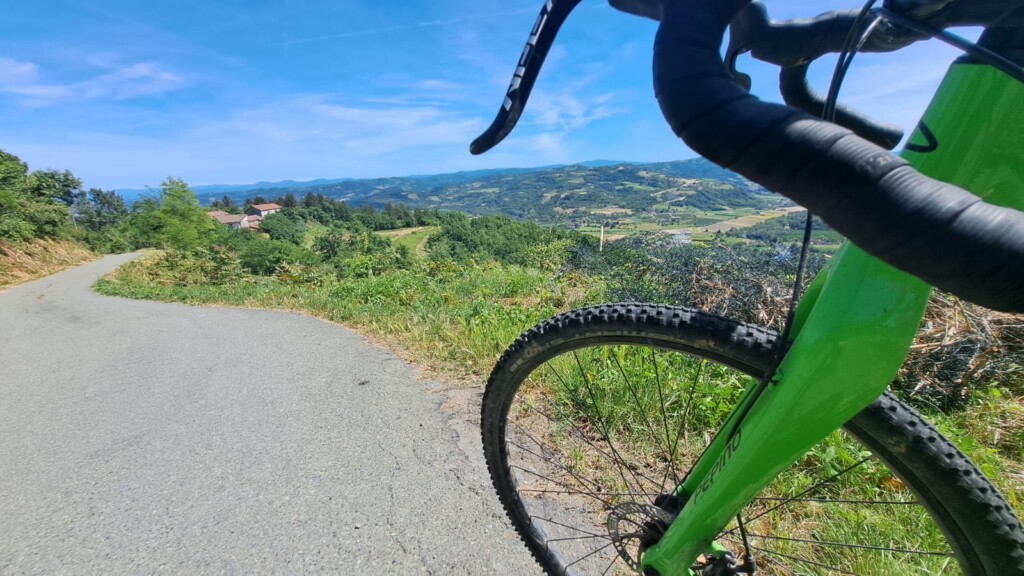 langaride 