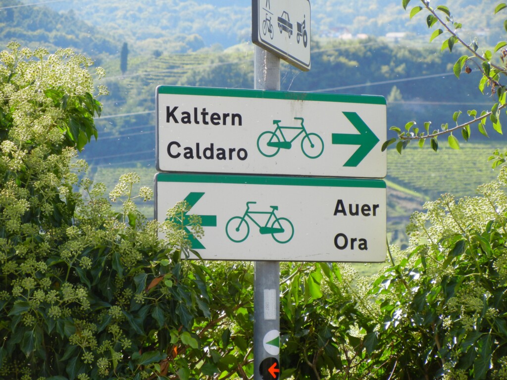 Alto Adige - MoMi 