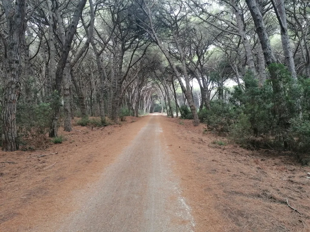 ciclabile Feniglia