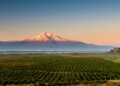 In bicicletta Armenia - Piana dell_Ararat con monte Ararat e monastero Khor Virap