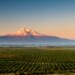 In bicicletta Armenia - Piana dell_Ararat con monte Ararat e monastero Khor Virap