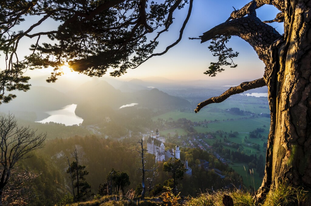 Schwangau_Schloss_Neuschwanstein(c)Bayern Tourismus Marketing GmbH_Volker Preusser