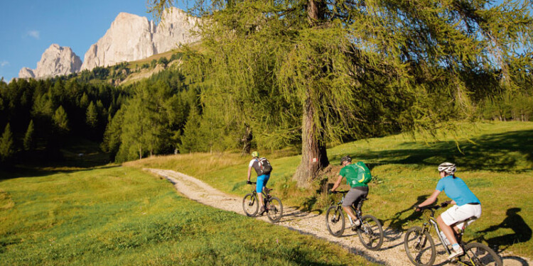 Val d'Ega in Mountain Bike