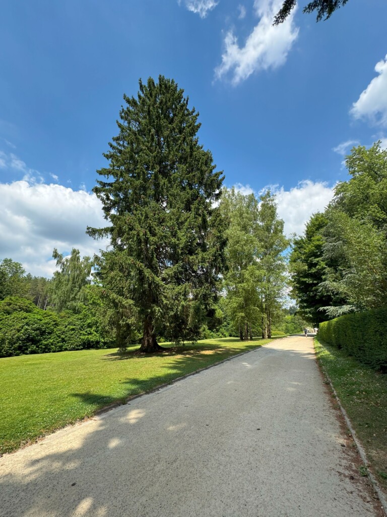 Vallonia in bicicletta - Castello di La Hulpe 2