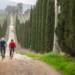 Grand tour della Maremma