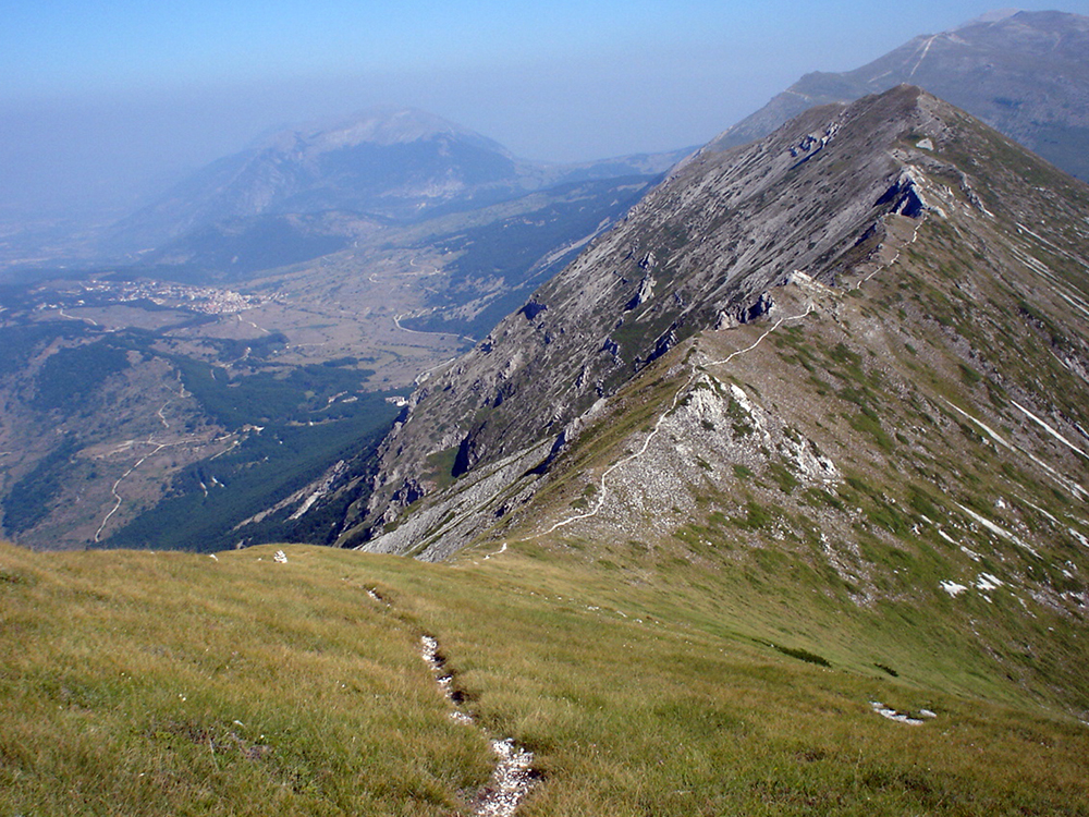 Linea Gustav 
