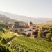 Abbazia di Novacella (c) Werner Waldboth