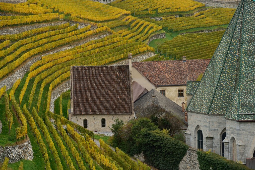 Vigneti Abbazia di Novacella_(c)Albert_Ceolan