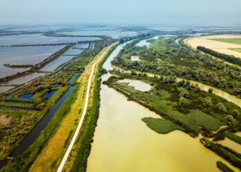 Ferrara e delta del Po