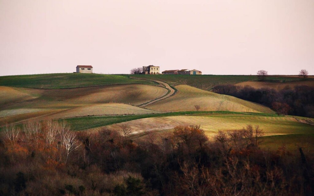 Terre di Tuscia