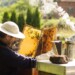 apiturismo in Italia
