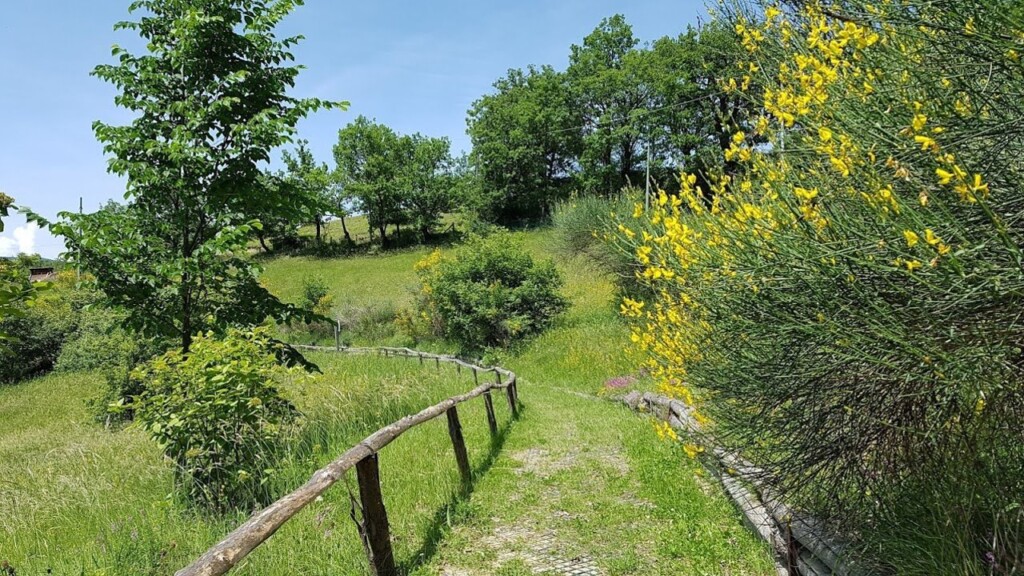 val di taro