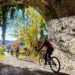 Camino Natural Via Verde del Plazaola ph. Javier Campos Turismo de Navarra