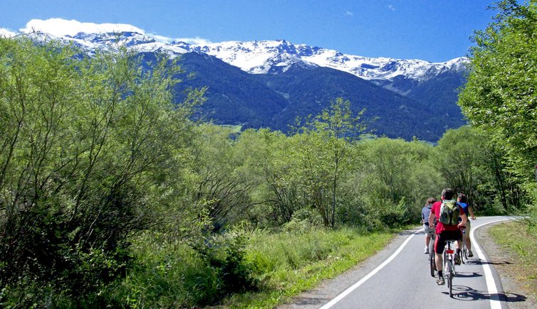 Alta Adige - ciclabile della Val Venosta