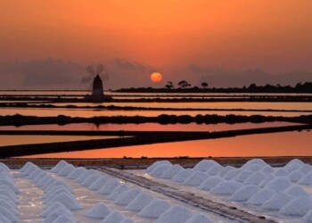 Stagnone di Marsala - Sicilia
